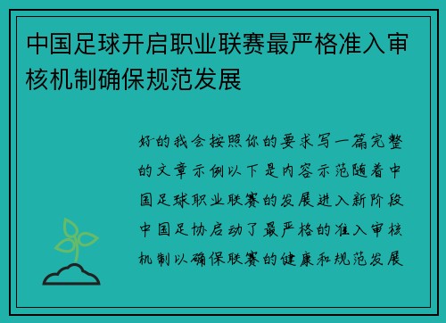 中国足球开启职业联赛最严格准入审核机制确保规范发展